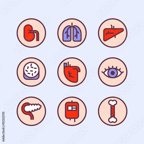 Human Organs for transplantation icons.