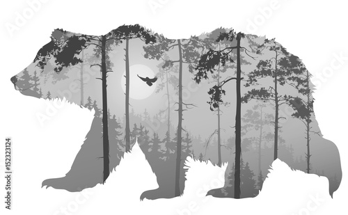 bear