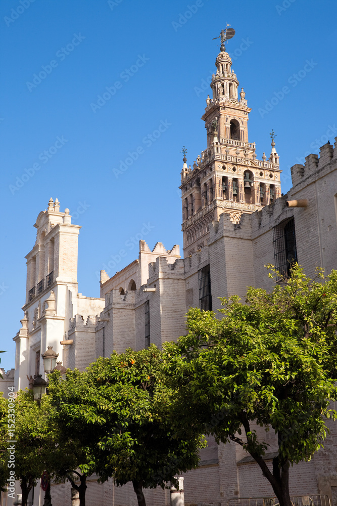 Cathédrale de Séville