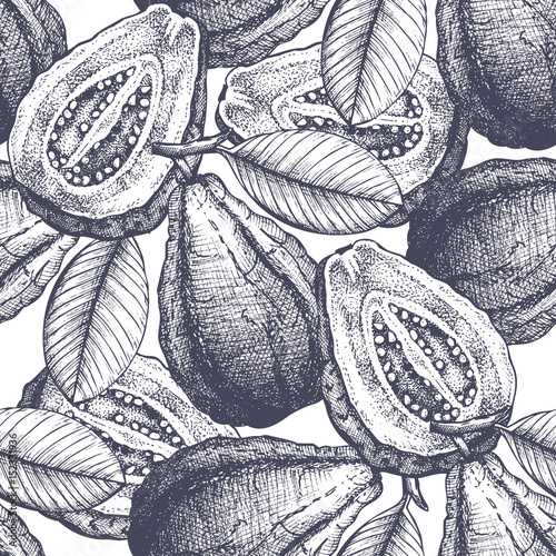 Vector Guava fruit background.