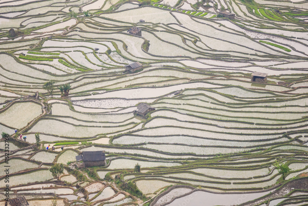 View from top on terraced fields in Yuanyang UNESCO Cultural Heritage in China