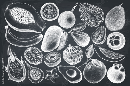 Vector collection of tropical fruits illustration.