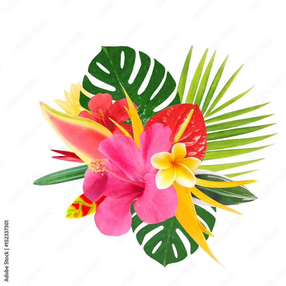 Obraz premium tropical flowers on a white background