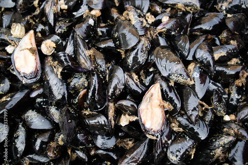 Pattern of mussels