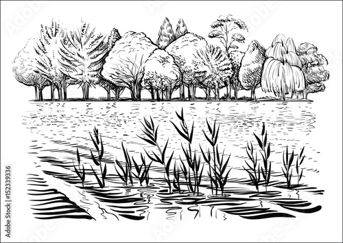 Vector illustration of river landscape with trees, water waves and reflexion. Black and white sketch.
