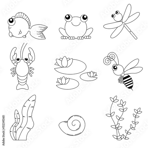 Flat design cute animals set. River life: fish, frog, dragonfly, crayfish, bee, water lily, shells and seaweeds. Line art.