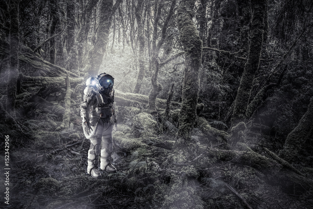 Obraz premium Astronaut in forest