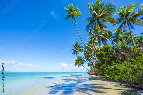 Scenic view of a remote Brazilian beach with shadows of palm trees falling on the shore in Bahia, Brazil