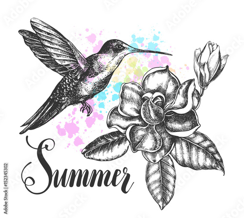 Background with Ink hand drawn flying colibri bird and magnolia flowers with leaves. Template for cards, banners with brush calligraphy style lettering. Vector illustration.