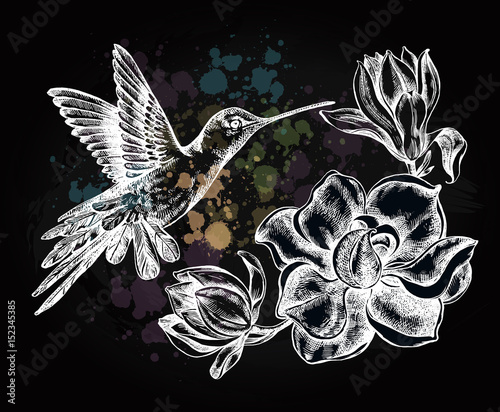 Background with Ink hand drawn flying colibri bird and magnolia flowers. Template for cards, banners, posters. Vector illustration.
