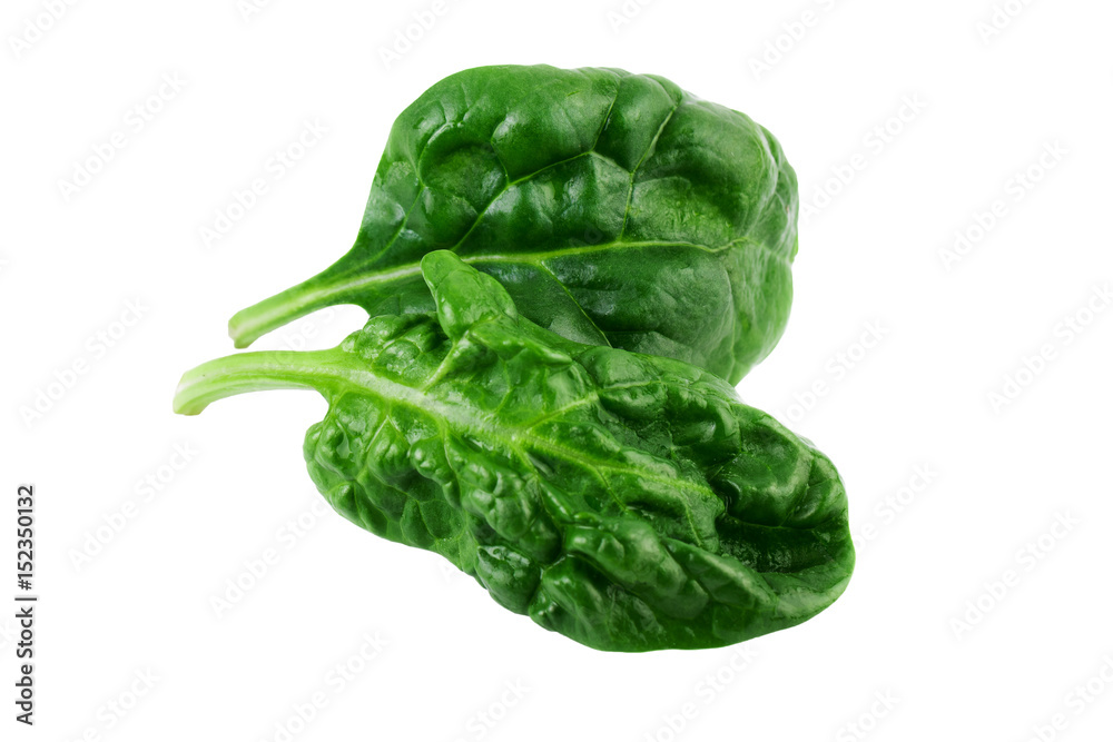 Spinach leaves isolated Spinach leaves isolated