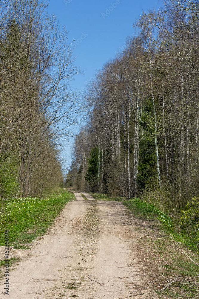 Dirt road through forest and field. Dirt road through forest and field.