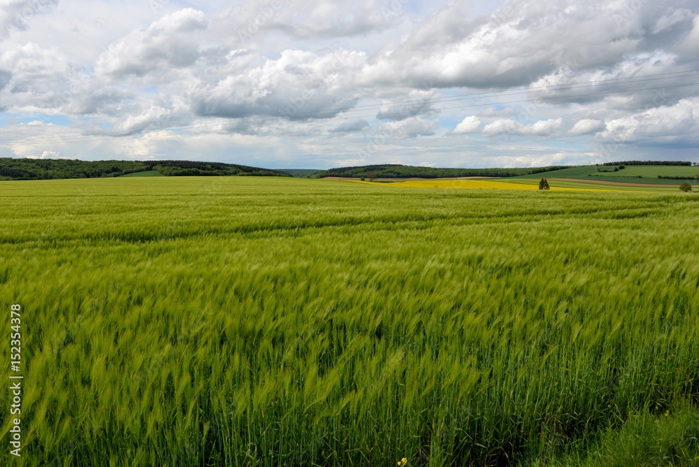 Obraz premium Paysage