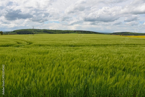 Paysage © Poiseau Philippe