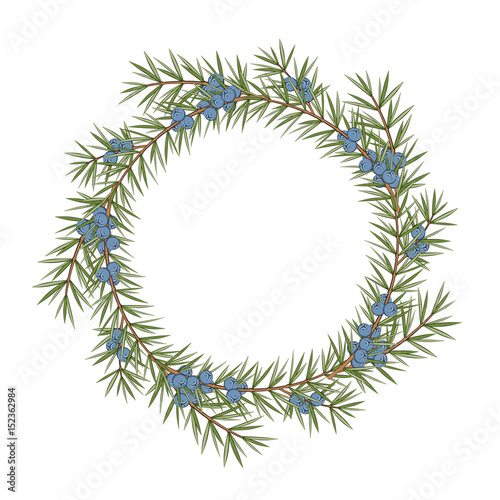 Isolated round frame of a juniper on a white background. Vector color illustration.