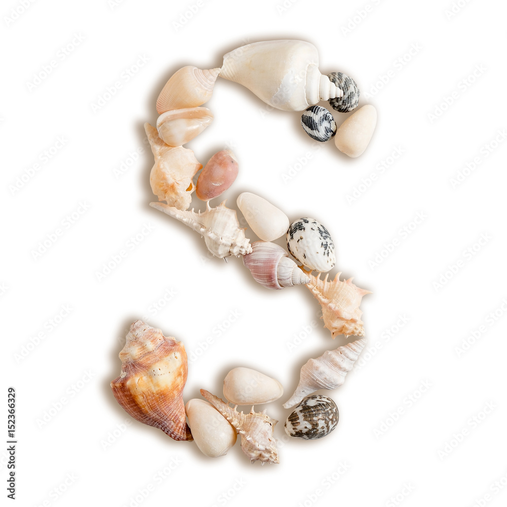 Obraz premium various sea shells capital S on isolated white background