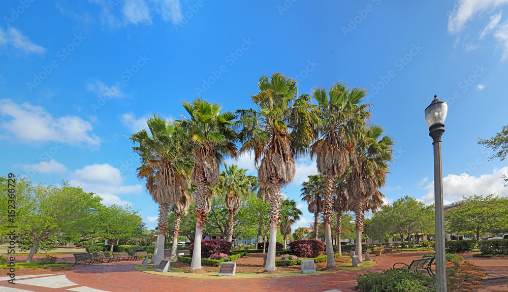 Fototapeta premium Circle of palm trees on the Beaufort, South Carolina waterfront