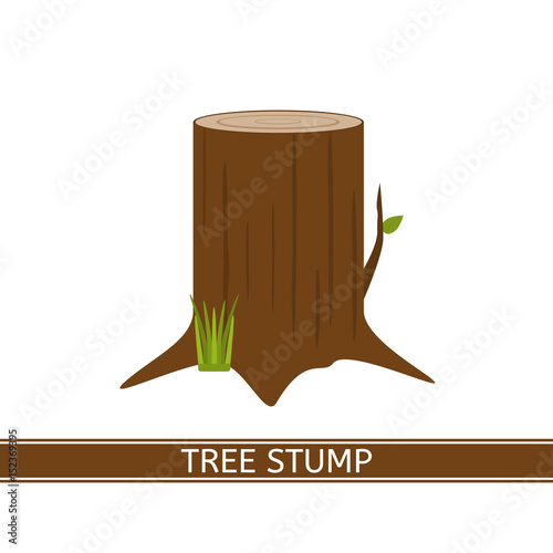 Tree stump vector icon with green grass and leaf in flat style. Isolated on white background. Annual growth rings.