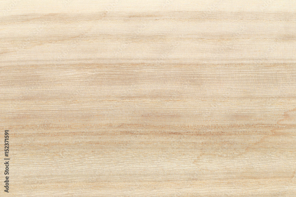 Fototapeta premium Wood texture background.