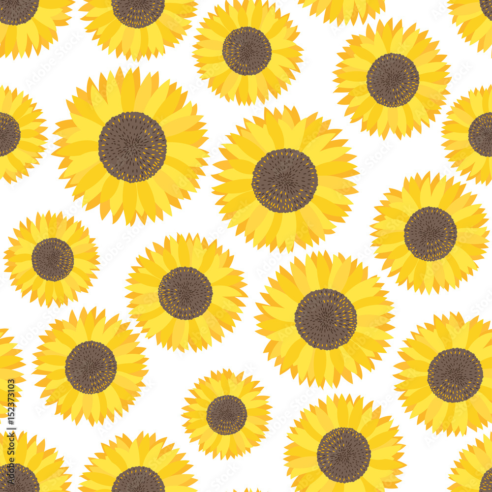Vector seamless pattern with sunflowers. Sweet honey background for beekeeping products.