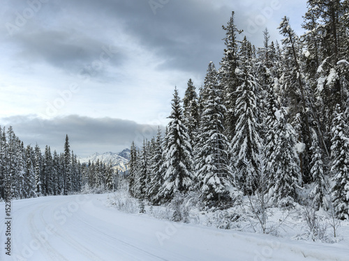 Winter in the mountains, Jasper National Park, Alberta, Canada