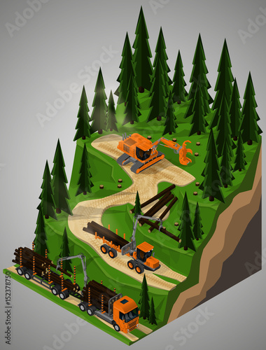 Vector isometric illustration of a feller-buncher, forwarder and timber truck at logging operations. Equipment for forestry industry.