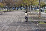 春の公園で自転車に乗る男の子