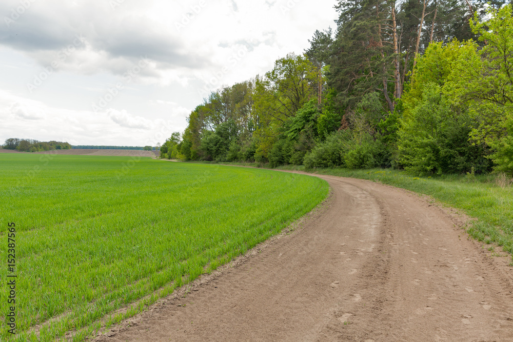 Fototapeta premium Cloudy landscape with dirt road in field by the woods
