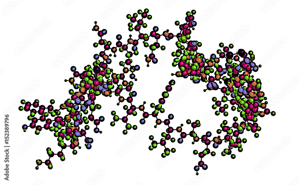 Molecular structure of insulin,3D rendering Molecular structure of insulin,3D rendering