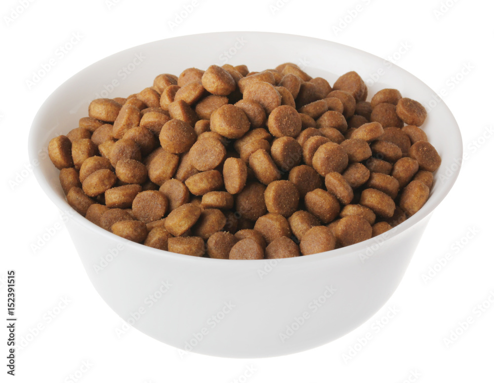 food for cats and dogs in white bowl on white background isolate food for cats and dogs in white bowl on white background isolate