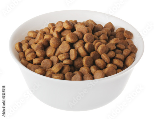 food for cats and dogs in white bowl on white background isolate