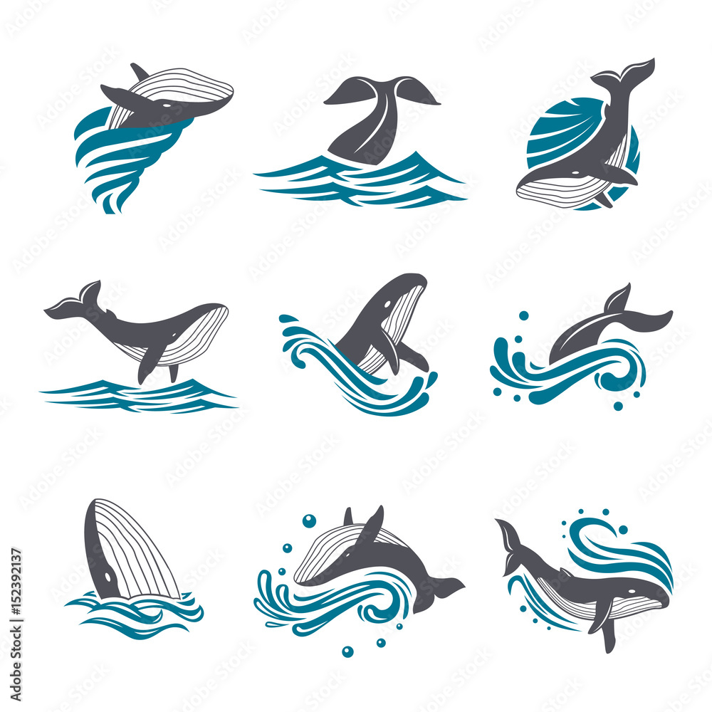 Naklejka premium Wieloryb wśród fal morskich i plamy wektor zestaw ikon