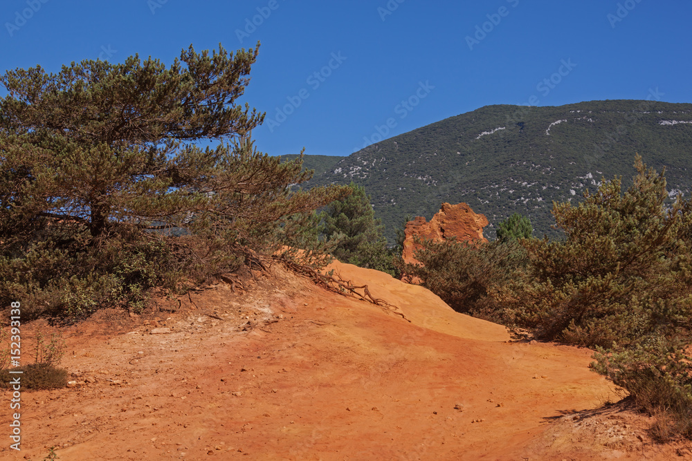 Bright orange ochre cliffs with pines on mountain background in the Colorado Provencal near village Roussillon  Provence, France