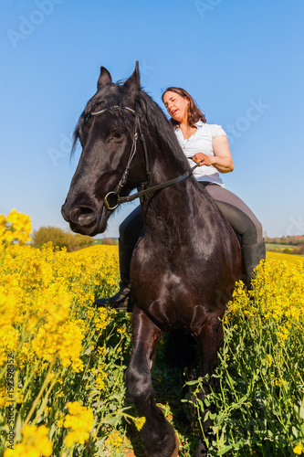 woman riding a Friesian horse © Christian Müller