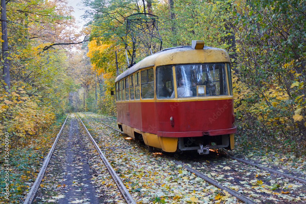 Red tram rides in autumn park. Kiev, Ukraine