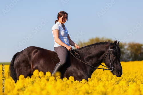 woman riding a Friesian horse