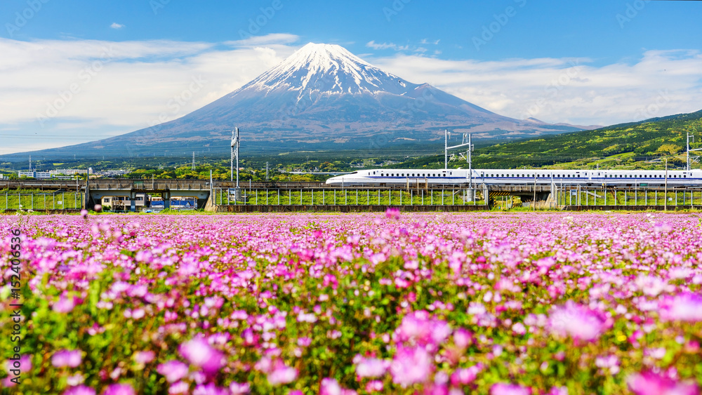 Obraz premium Przełęcz Shinkanzen Góra Fuji