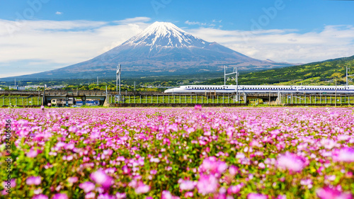 Shinkanzen run pass Mt. Fuji