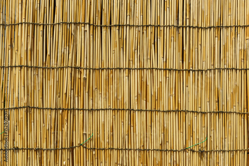 Fototapeta teksturowane bacground ściany bambusa