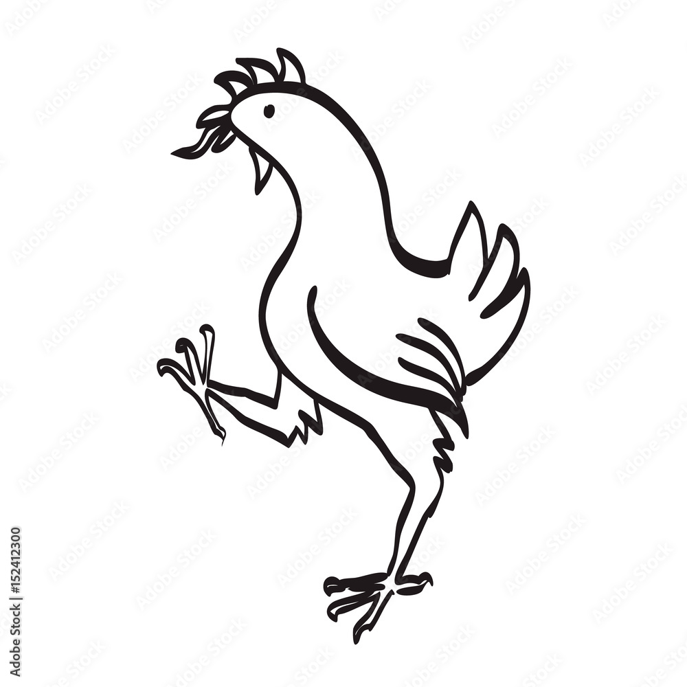 Chicken line art Chicken line art
