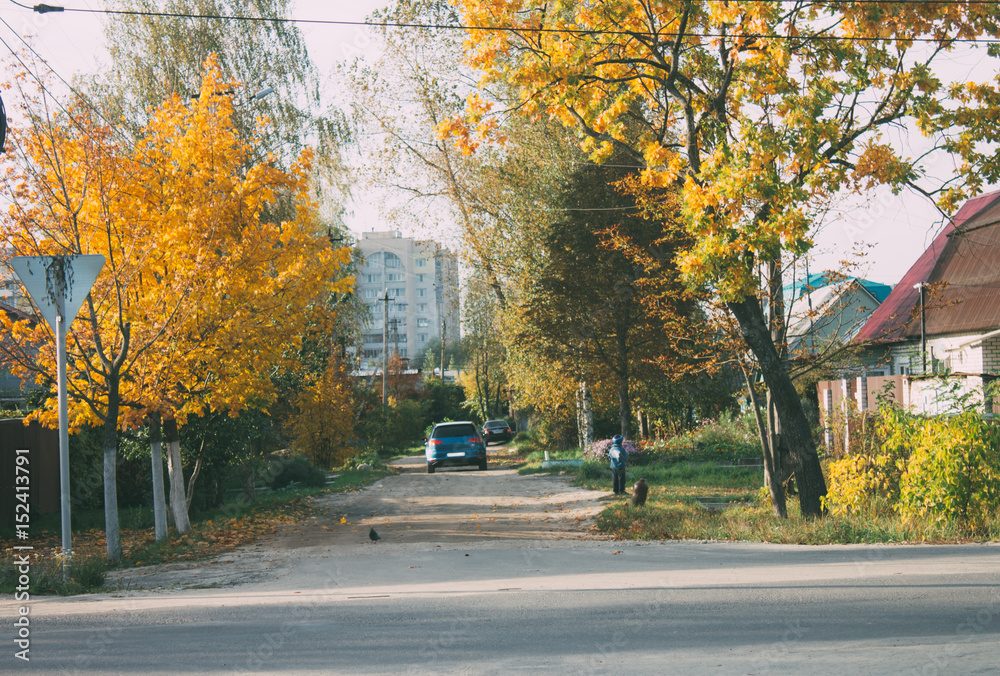 cityscape street in the autumn