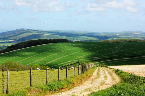 South downs national park in Sussex. photo