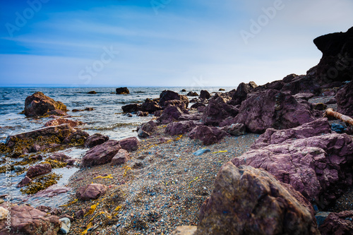 Purple stones of the Sakhalin bay