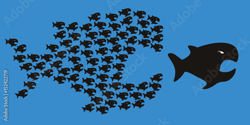 poisson - symbole - chaine - unité - force - union - concept - organisation - équipe