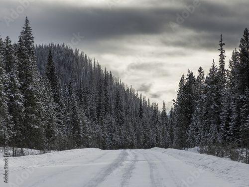 Snow covered highway, Jasper National Park, Alberta, Canada