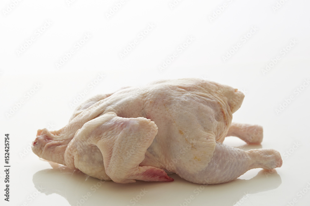 chicken chicken