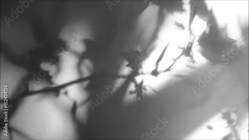 Schatten1505a