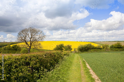 country footpath in springtime