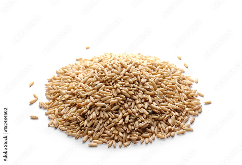 Oat grains isolated on white background Oat grains isolated on white background