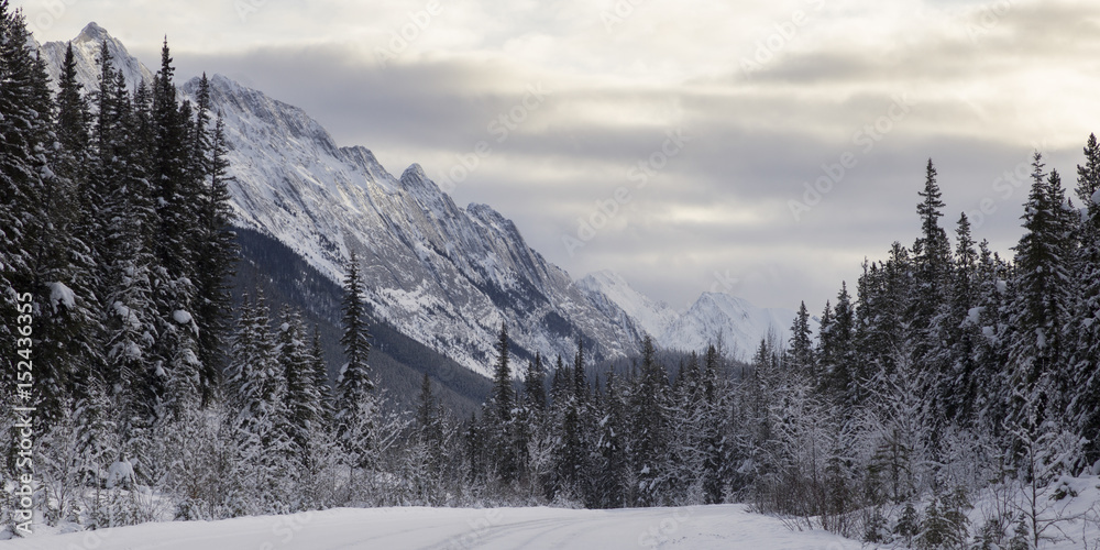 Snow covered mountains, Jasper National Park, Alberta, Canada
